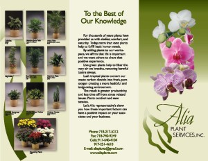 Alia Plants Brochure Anverso