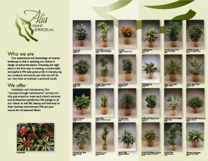 Alia Plants Brochure Reverso
